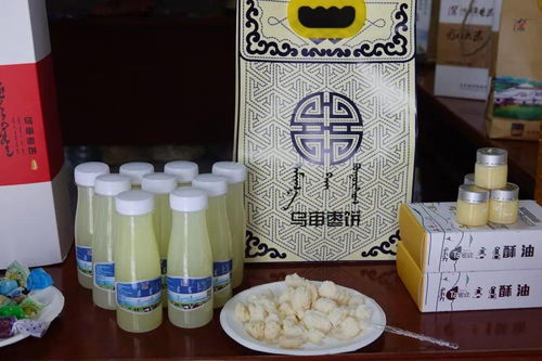 樂享鄂爾多斯｜8月21日，來烏審旗撒歡兒，用農(nóng)副產(chǎn)品零食治愈你的味蕾